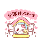 愛されかほちゃん（個別スタンプ：17）