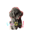 COCO＆RYUKI（個別スタンプ：2）