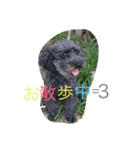 COCO＆RYUKI（個別スタンプ：3）