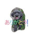 COCO＆RYUKI（個別スタンプ：5）