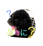 COCO＆RYUKI（個別スタンプ：8）