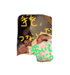 愛ある家族（個別スタンプ：5）