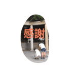 愛ある家族（個別スタンプ：6）