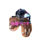 愛ある家族（個別スタンプ：10）