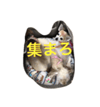 愛ある家族（個別スタンプ：13）