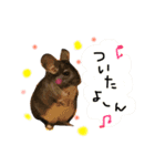 チンチラのちんすこう（個別スタンプ：15）