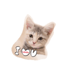 いぶスタ（個別スタンプ：14）