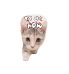 いぶスタ（個別スタンプ：20）