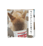 だいだいだいずくんすたんぷ（個別スタンプ：7）