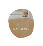 だいだいだいずくんすたんぷ（個別スタンプ：8）