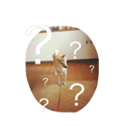 だいだいだいずくんすたんぷ（個別スタンプ：10）