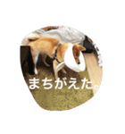 だいだいだいずくんすたんぷ（個別スタンプ：17）