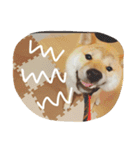 だいだいだいずくんすたんぷ（個別スタンプ：22）