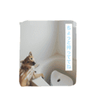 だいだいだいずくんすたんぷ（個別スタンプ：24）