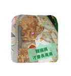 lovely puppy doodoo（個別スタンプ：2）
