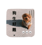 lovely puppy doodoo（個別スタンプ：3）