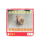 lovely puppy doodoo（個別スタンプ：4）