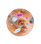 lovely puppy doodoo（個別スタンプ：6）
