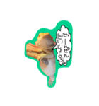 フトアゴみかん太くん（個別スタンプ：11）