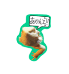 フトアゴみかん太くん（個別スタンプ：18）