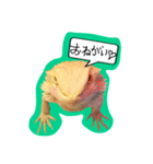 フトアゴみかん太くん（個別スタンプ：22）