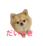小悪魔cocoちゃん（個別スタンプ：4）