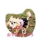 小悪魔cocoちゃん（個別スタンプ：6）