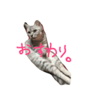 リリーさん時々まーさん。（個別スタンプ：3）