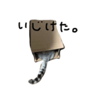 リリーさん時々まーさん。（個別スタンプ：5）