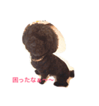 マルオさん（個別スタンプ：6）
