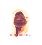 マルオさん（個別スタンプ：10）