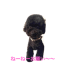 マルオさん（個別スタンプ：11）