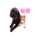 マルオさん（個別スタンプ：13）