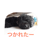 マルオさん（個別スタンプ：14）