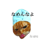 ito sama stamp 1（個別スタンプ：1）
