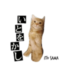 ito sama stamp 1（個別スタンプ：2）
