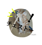 ito sama stamp 1（個別スタンプ：4）