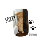 ito sama stamp 1（個別スタンプ：5）
