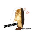 ito sama stamp 1（個別スタンプ：6）