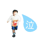 ボクとチワワと、時々、(日本)テリア（個別スタンプ：20）