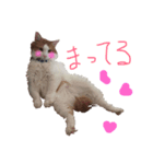 Plus de Maria（個別スタンプ：2）