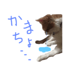 Plus de Maria（個別スタンプ：7）
