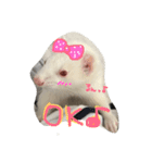 ふぇれっず！（個別スタンプ：3）