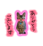 シンクロ（個別スタンプ：5）