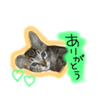 シンクロ（個別スタンプ：6）