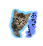 シンクロ（個別スタンプ：11）