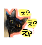 シンクロ（個別スタンプ：12）