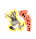シンクロ（個別スタンプ：13）
