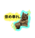 シンクロ（個別スタンプ：15）