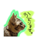 シンクロ（個別スタンプ：18）